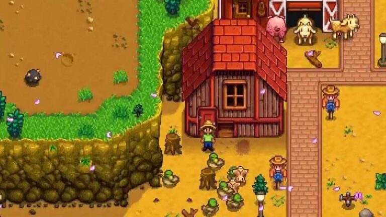 coop stardew valley